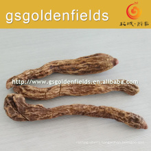 Supply good quality Chinese Cynomorium